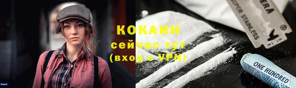 дурь Горно-Алтайск