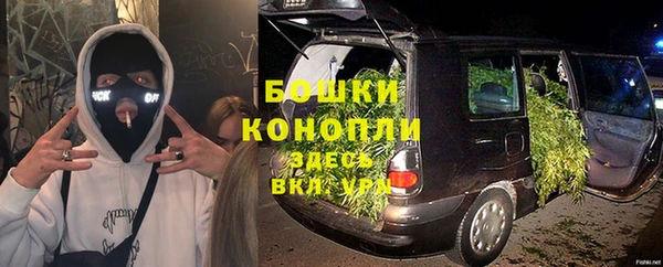 СК Горняк