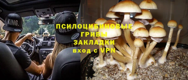 соль курить ск Горнозаводск